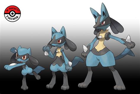 lucario evolution|Lucario Learnset, How to Get, and Evolution .